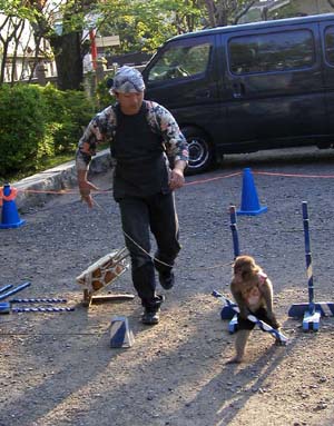 猿回し