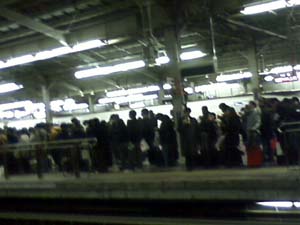 �A�ȃ��b�V�����V���