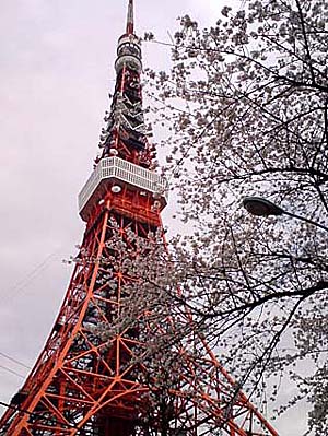 20080331_141330