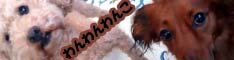 ������񂱂P�P�P�F�o�i�[