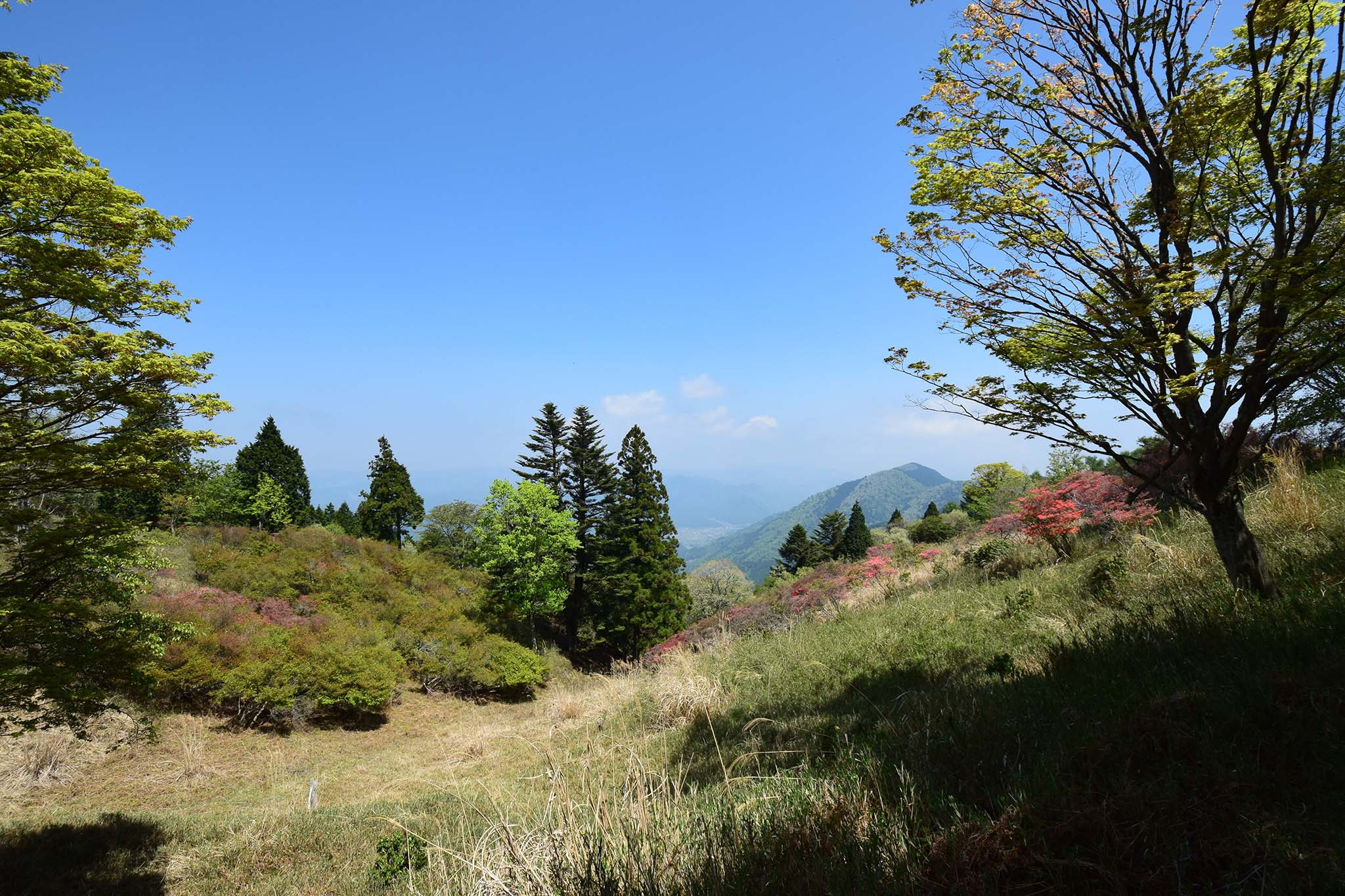 【登山】比叡山’18GW part 2 比叡山上北面